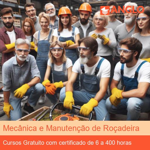 Mecânica e Manutenção de Roçadeira